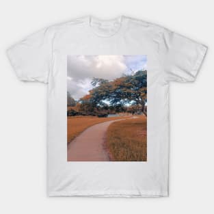 nature landscape, trees, walk path T-Shirt